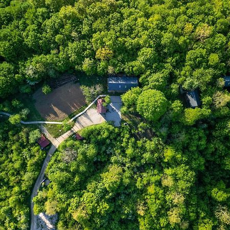 Tree Elements Treehouse Retreat Apartment Slunj Exterior photo