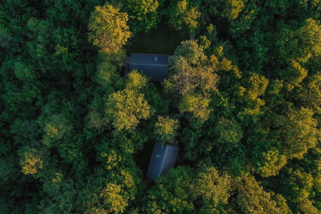 Tree Elements Treehouse Retreat Apartment Slunj Exterior photo